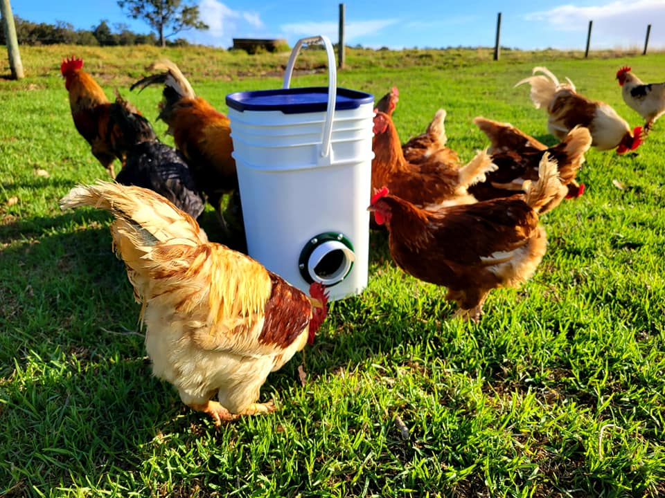 Chicken Feeder. Pre-Assembled (20 Litre bucket)